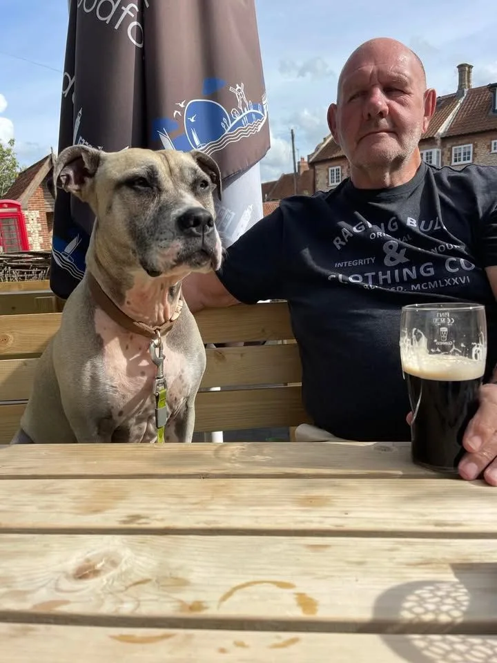 Bull-breed dog sitting on a bench in a pub garden beside a man with a pint of stout, with a parasol and a red phone box behind