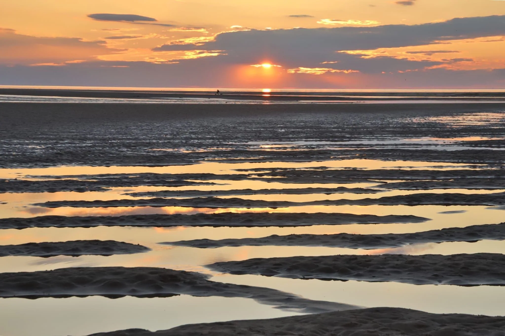 Sunset over the tidal flats at Wells-next-the-Sea with channels of water reflecting the golden sky