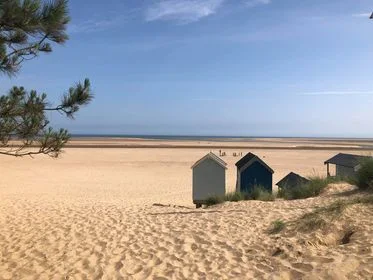 Wide sandy beach at Wells-next-the-Sea with beach huts, pine branches, and blue sky